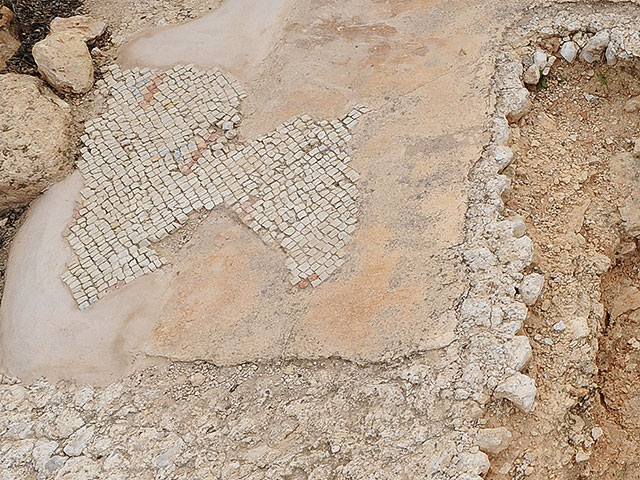 В Турции обнаружена древнейшая в мире мозаика (иллюстрация)