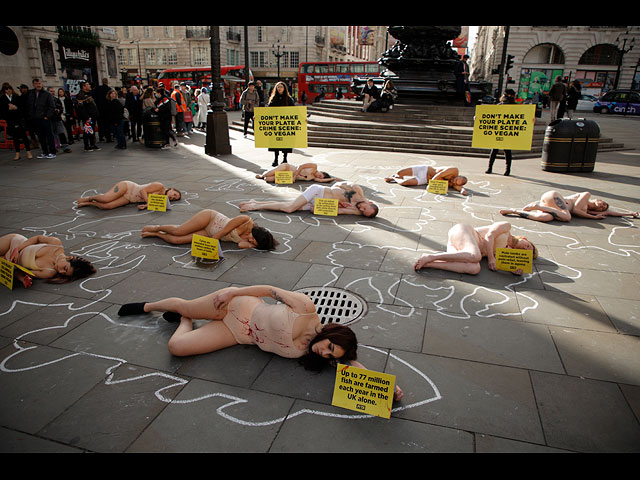 "Почти голая" акция PETA в Лондоне: "Не делай свою тарелку местом преступления"