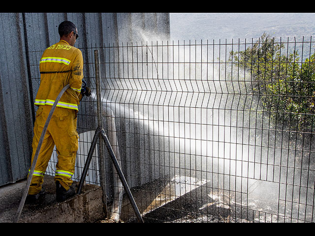 Последствия лесного пожара на севере Израиля. Фоторепортаж