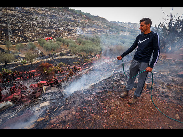 Последствия лесного пожара на севере Израиля. Фоторепортаж
