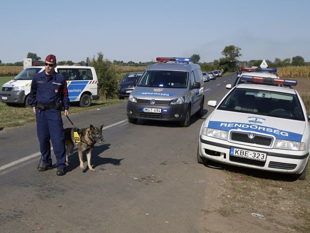 В Венгрии машина с мигрантами врезалась в дом: семь человек погибли, четыре получили травмы