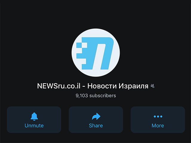 Редакция NEWSru.co.il приостановила возможность комментирования в нашем Telegram-канале