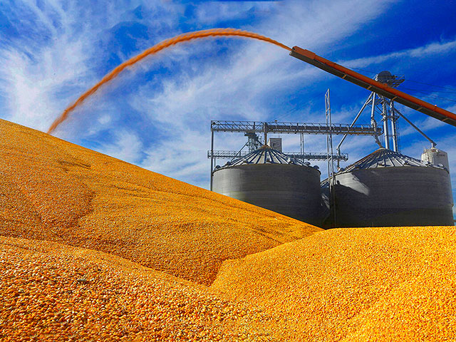 Египетский министр заявил, что Россия и Украина выполнят обязательства по поставкам зерна
