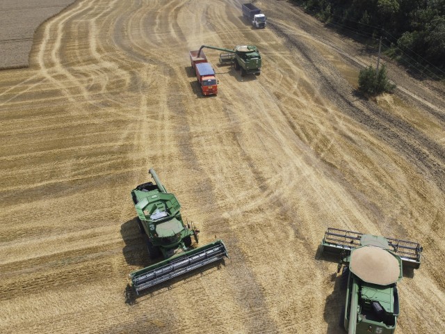 Hungary bans grain exports
