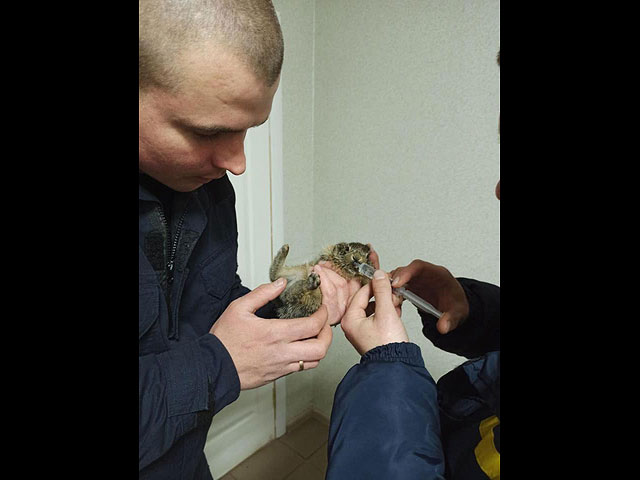 Они живые: домашние животные и дикие звери, спасенные во время войны в Украине. Фоторепортаж