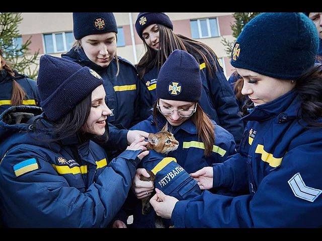 Они живые: домашние животные и дикие звери, спасенные во время войны в Украине. Фоторепортаж