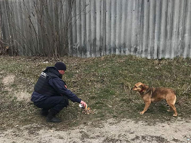 Они живые: домашние животные и дикие звери, спасенные во время войны в Украине. Фоторепортаж