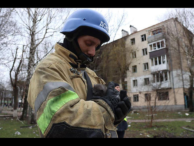 Они живые: домашние животные и дикие звери, спасенные во время войны в Украине. Фоторепортаж