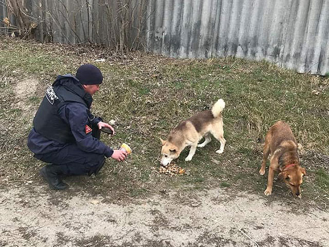 Они живые: домашние животные и дикие звери, спасенные во время войны в Украине. Фоторепортаж