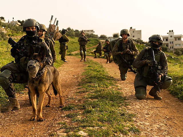 ЦАХАЛ и ШАБАК продолжают антитеррористическую операцию в Иудее и Самарии