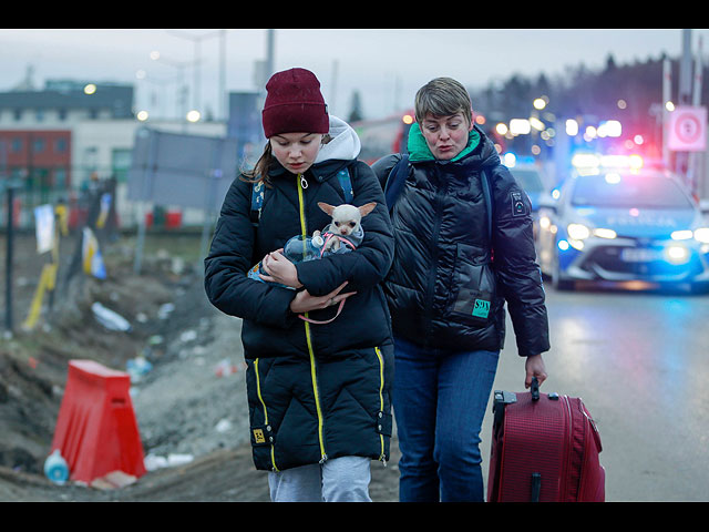 Война в Украине: четвероногие беженцы. Фоторепортаж