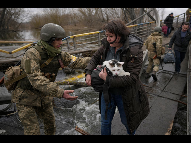 Война в Украине: четвероногие беженцы. Фоторепортаж