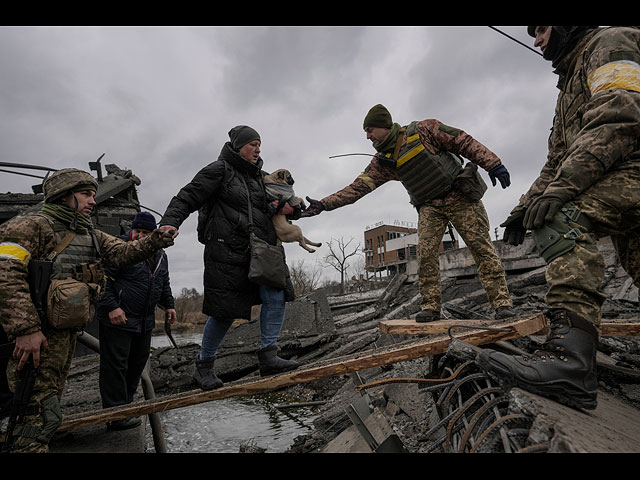 Война в Украине: четвероногие беженцы. Фоторепортаж