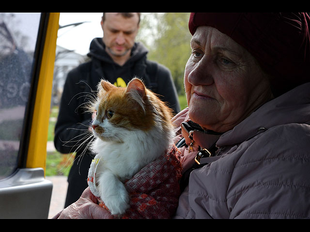 Война в Украине: четвероногие беженцы. Фоторепортаж