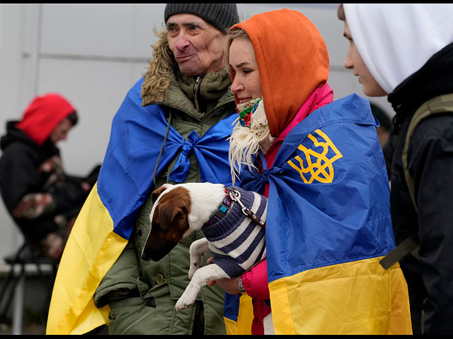 Война в Украине: четвероногие беженцы. Фоторепортаж