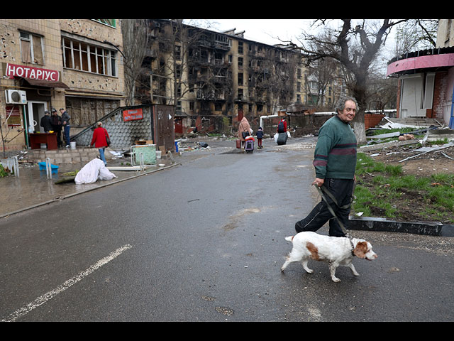 Война в Украине: четвероногие беженцы. Фоторепортаж