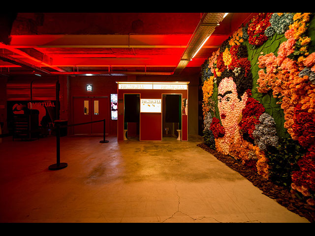 Впервые в Израиле &#8211; выставка художницы Фриды Кало