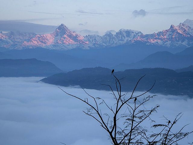 Найдены обломки самолета, разбившегося в Непале: среди погибших есть иностранцы