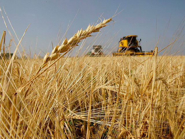 Turkey organizes negotiations on the export of Ukrainian grain through the Black Sea