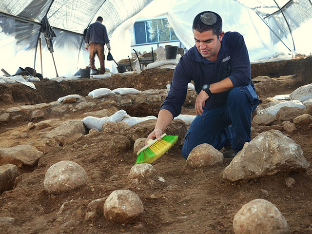Кафир Арбив, руководитель раскопок Управления древностей Израиля, чистит один из камней катапульты. Фото: Юлий Шварц, Управление древностей