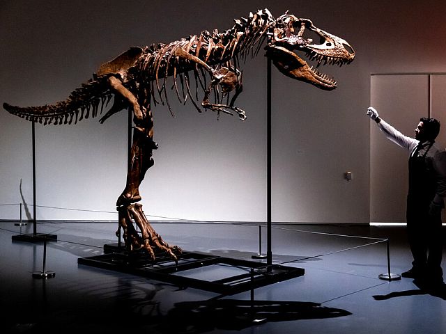 Скелет динозавра продан на аукционе в США за 6 миллионов долларов