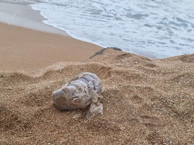 Десятки килограммов наркотиков найдены на пляжах севера страны