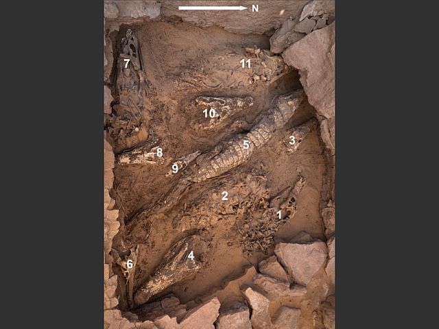 В Египте найдена уникальная гробница с мумиями крокодилов