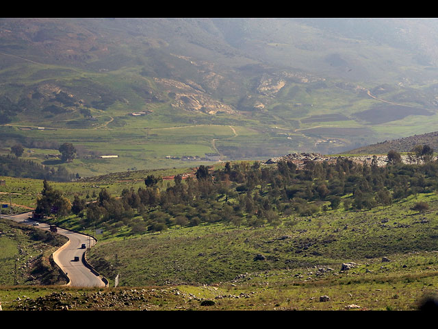 "Зеленые без границ" на юге Ливана: подозрение на действия в интересах "Хизбаллы" под видом защиты лесов
