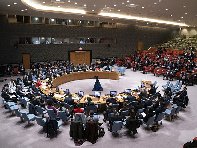 Франция, ОАЭ и Китай запросили обсуждение в СБ ООН операции в Дженине
