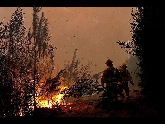Последствия лесных пожаров в Чили. Фоторепортаж