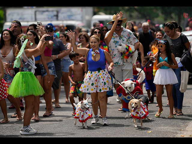 Собачий парад на Бразильском карнавале 2023 года. Фоторепортаж