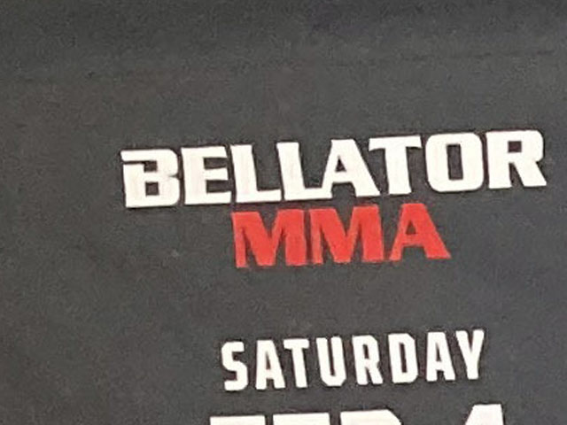 Финал Гран-при Bellator в легчайшем весе. Микс нокаутировал Стотса