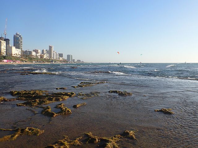 Условия для купания в Средиземном море хорошие: волны невысокие, медуз больше на южных пляжах, чем на северных