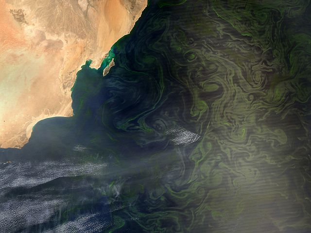 UKMTO reports incident in Arabian Sea