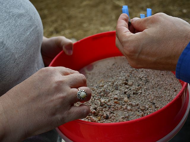 Открылся для посетителей Национальный парк "Овадия" – древнейшая в Израиле стоянка первобытных людей
