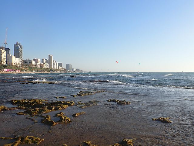Теплая погода на пляжах Средиземного моря в Израиле: медуз стало меньше, но надо быть осторожными
