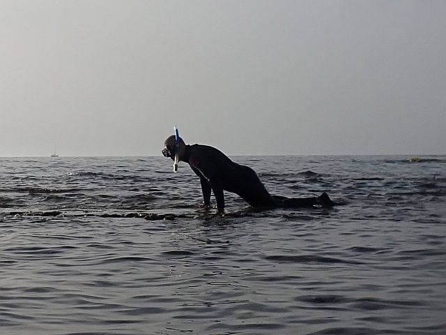 Ситуация на пляжах: Средиземное море – волны до 2 м, медуз мало; почти штиль в Эйлате и на Кинерете