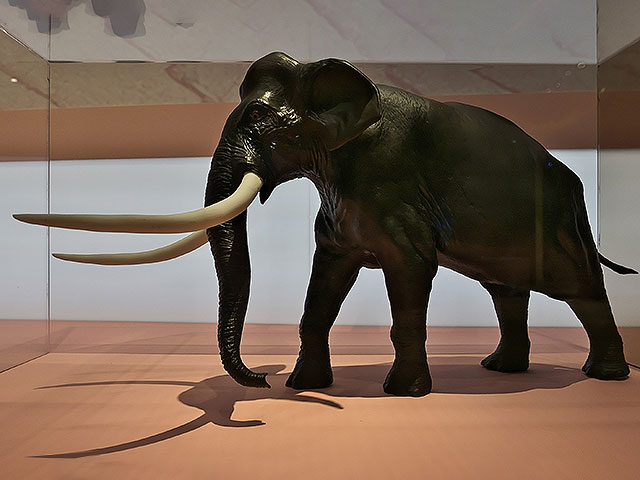 Древняя Галилея – родина слонов, на которых охотились Homo erectus полмиллиона лет назад
