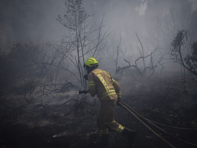Лесной пожар в Иерусалиме, около Музея Израиля. Фоторепортаж
