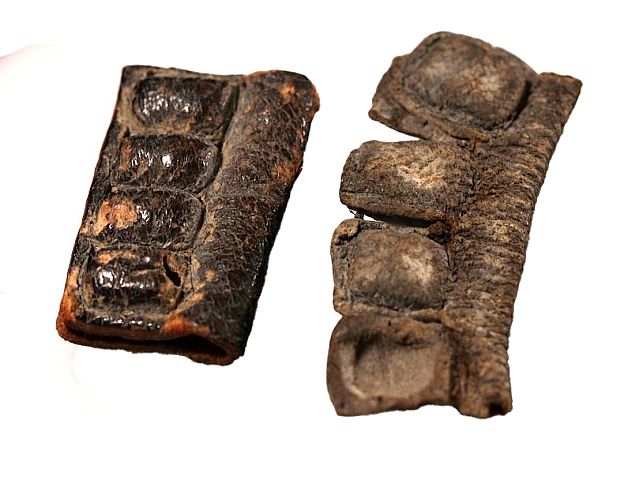Археологи опровергли мудрецов Талмуда: филактерии не всегда были черными