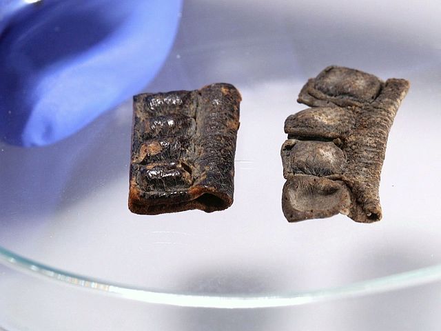 Археологи опровергли мудрецов Талмуда: филактерии не всегда были черными