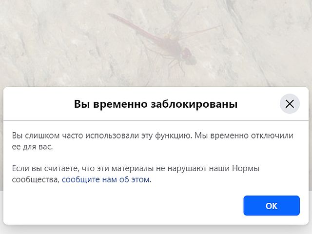 Сбой Facebook: многие получают ложные сообщения о блокировке
