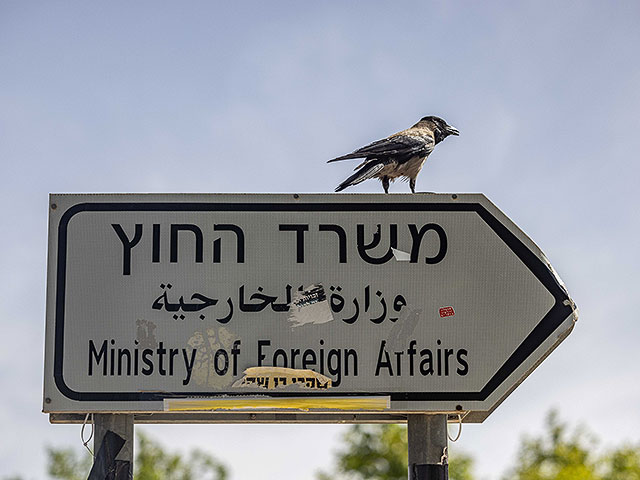 Crows in Israel are suffering from West Nile fever and are dying from it