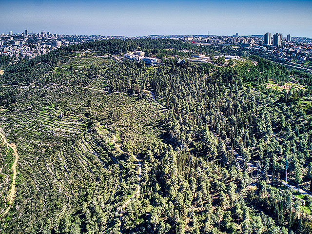 Scandal overlooking military cemetery: Elite tower approved for construction near Mount Herzl