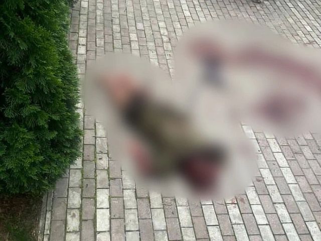 На севере Петербурга в результате нападения медведя погибла дрессировщица
