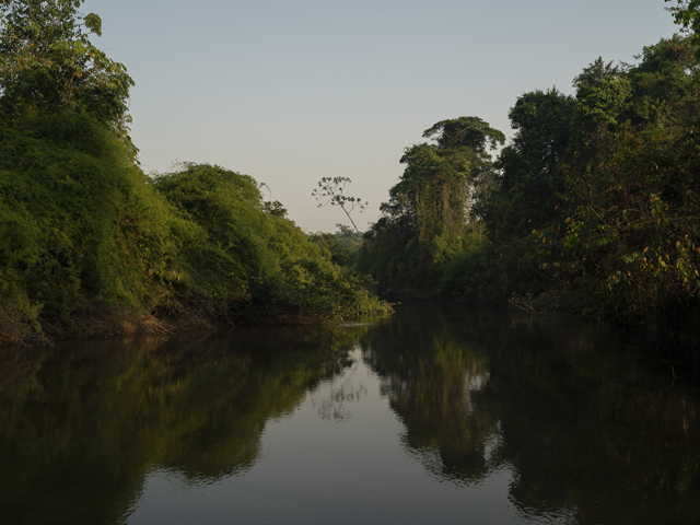 Scientists: Tsimane tribe members have the healthiest hearts and brains in the world