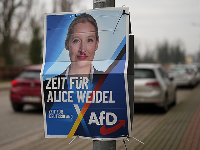 Глава AfD: "Холокост используют против нас как дубину"