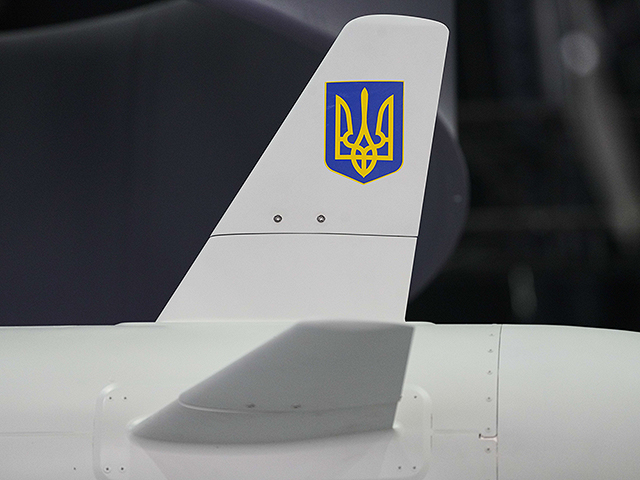 Выставка вооружений IDEX 2025 в Абу-Даби. Фоторепортаж