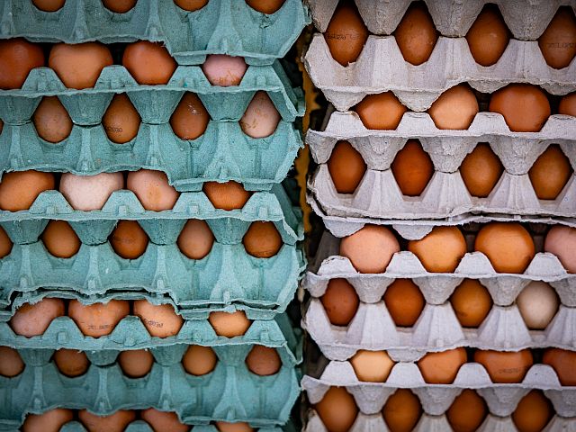 Минсельхоз субсидирует импорт яиц, чтобы избежать дефицита на Песах