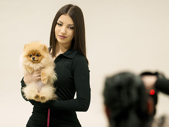 Конкурс красоты среди домашних животных. Фоторепортаж из Бухареста